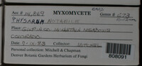 Image Associated With the Occurence